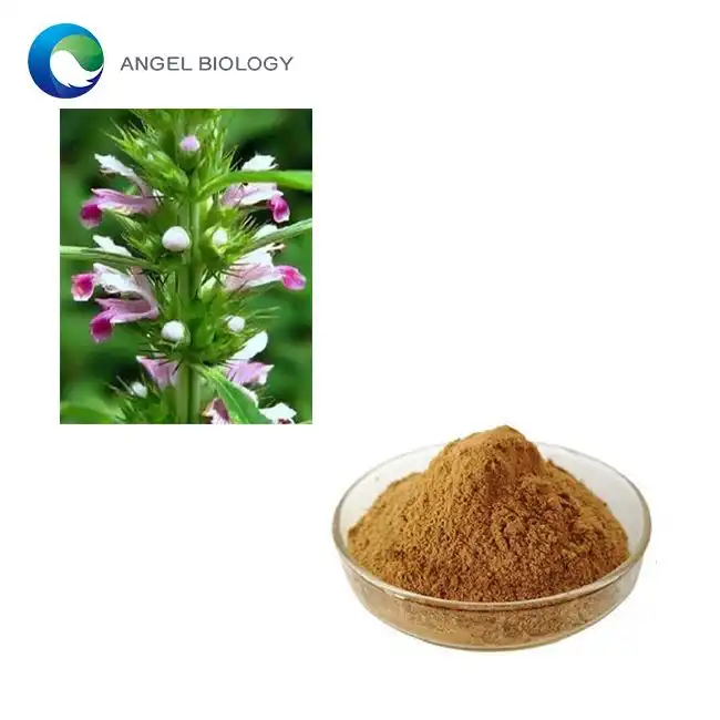 Motherwort Extract